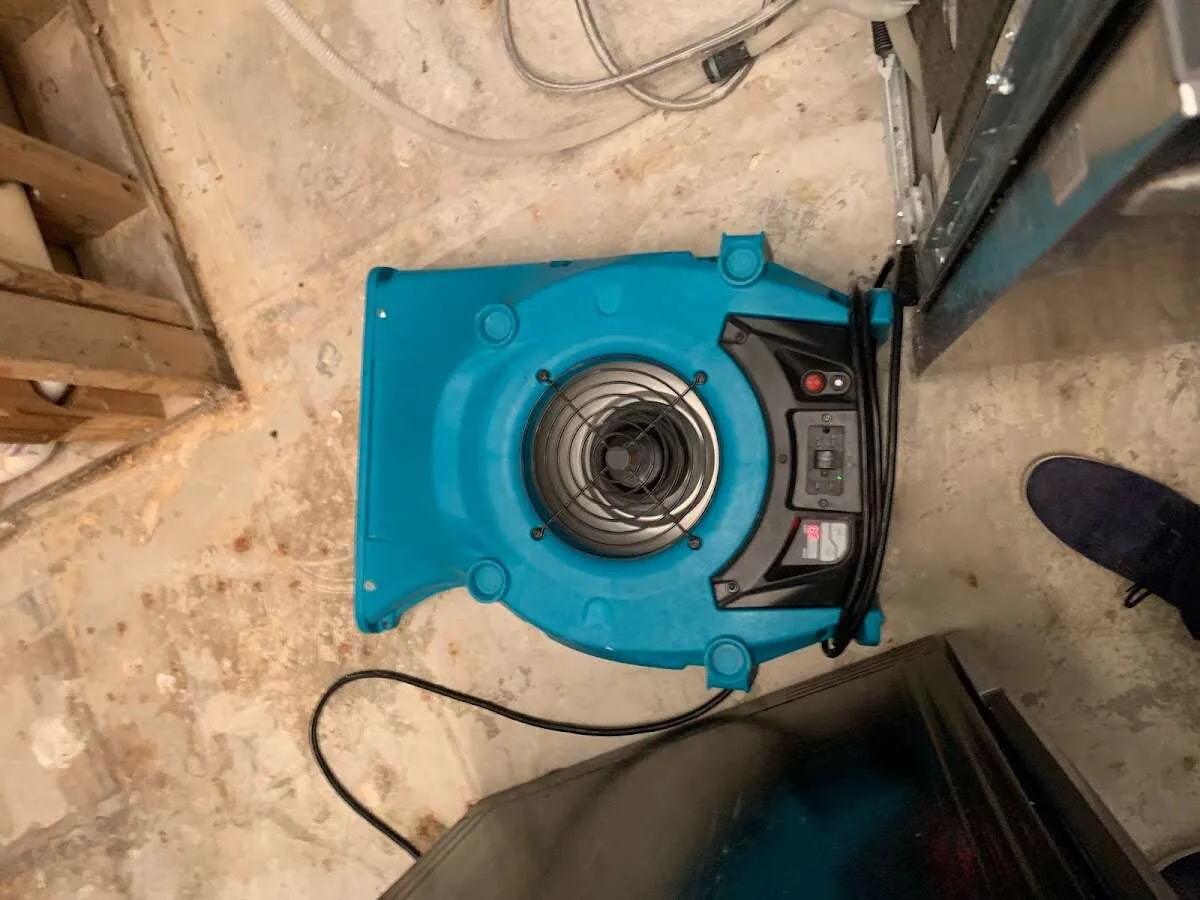 Air mover drying equipment for Mold Remediation & Removal in Hilton Head Island