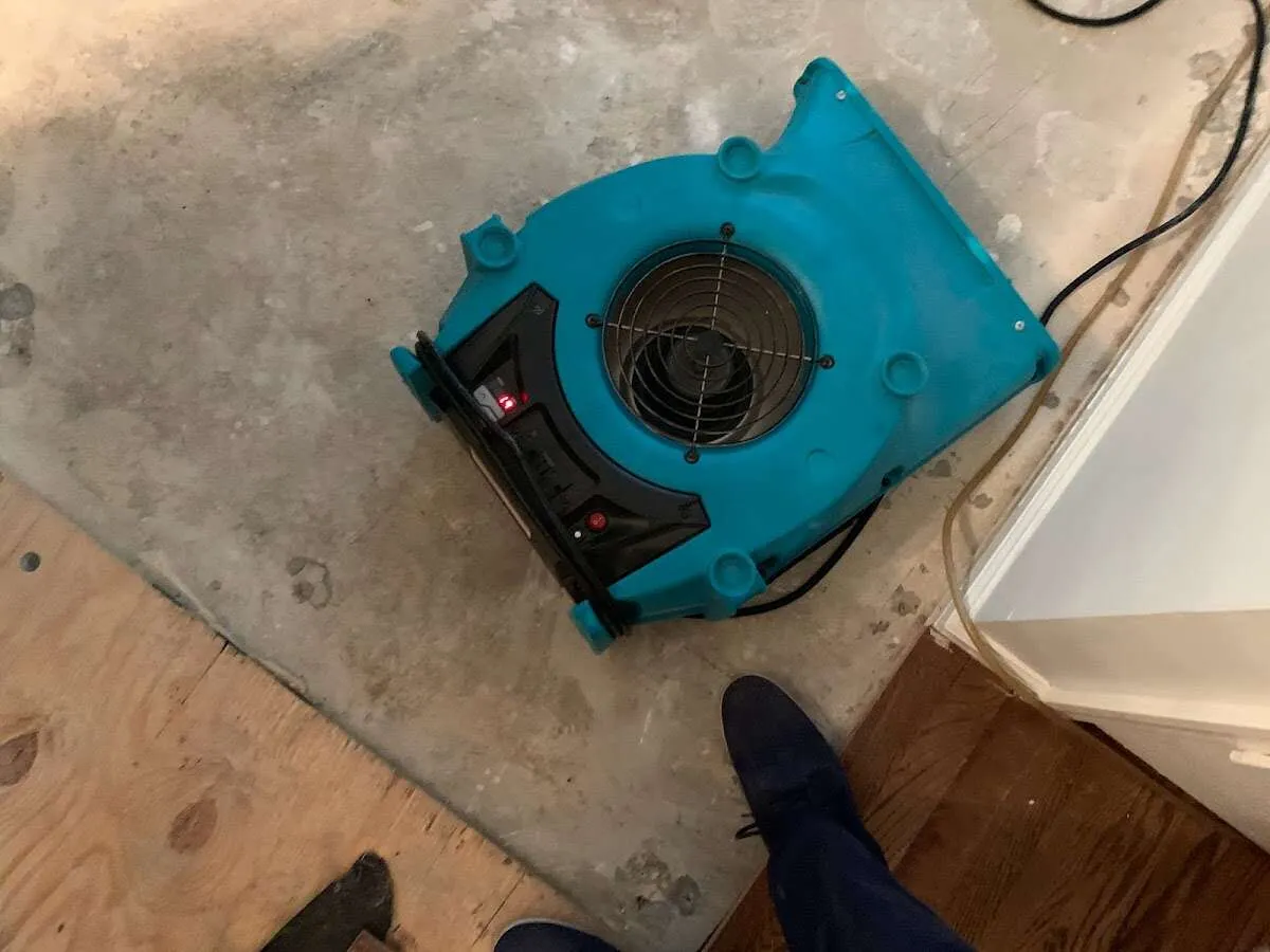 Air mover drying subfloor during Commercial Water Damage Restoration in Hilton Head Island